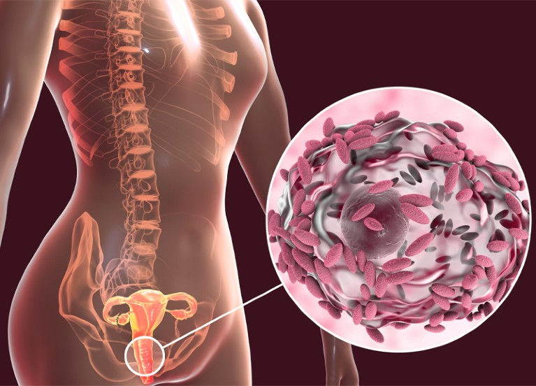 New Review Highlights Untapped Potential of the Vaginal Microbiome in Women’s Health
