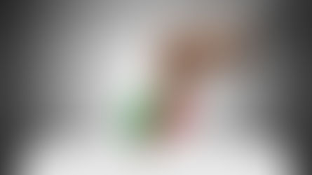 The Saint Kitts and Nevis Election