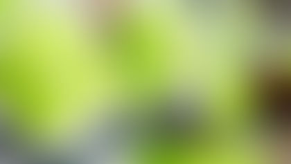 Multi Partner Action Taken at Southport Skip Hire Company