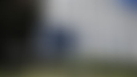 P3 Joint Statement on Security Assurances