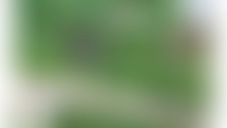 AAIB Report: Extra EA-200, G-EEEK, 13 July 2024