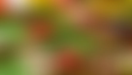 Fruit and Veg Import Checks Scrapped Ahead of UK-EU Deal