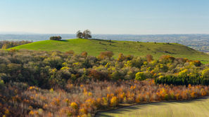 Wildlife Habitat in Most Cherished Landscapes Set to be Restored