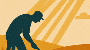 Elul: When the King Leaves the Palace and Enters the Field