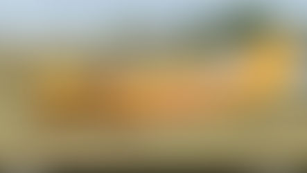 AAIB Report: SportStar SLM, G-CMGB