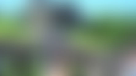 Liechtenstein National Day