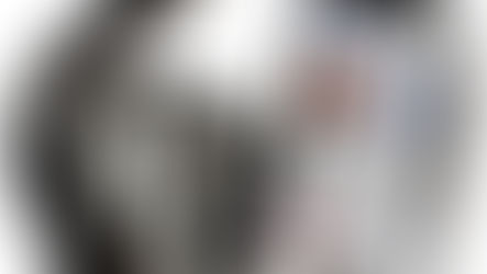 WireNews Expands Access to Professional Press Credentials with Affordable Annual, Five-Year and Lifetime Options