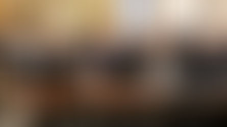 An Unconstitutional Predicament: Analyzing the $454 Million Fine Against President Donald Trump