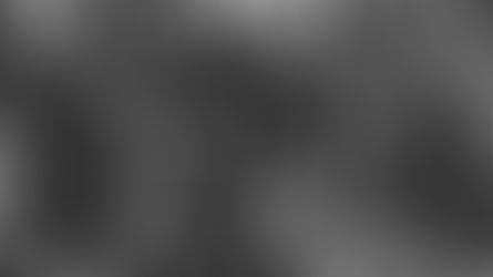 Unions as a Catalyst for Revolutionary Change