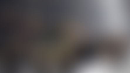 Romania National Day