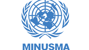 Speech: Mali's Actions and Statements Call into Question its Commitment to UN Partnership