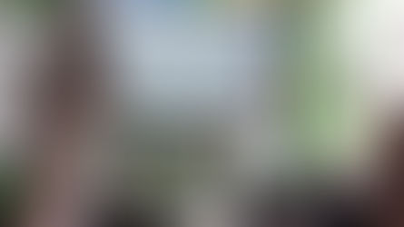 Reading and Writing Boost to Drive High and Rising Standards