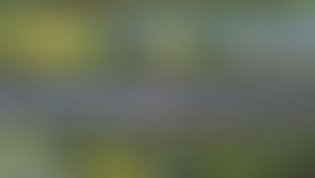 Collision Between Passenger Trains Near Talerddig