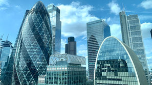 Investment Firm CEO Imprisoned for Contempt of Court