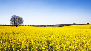 More than £400 Million in Taxpayers’ Money Paid Out for “Sustainable” Food Production