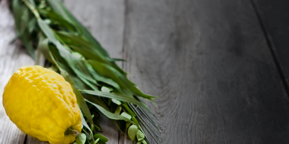 The Holiday of Sukkot