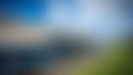 Kinship Care Fun Day at the Centre of Excellence