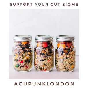 Support Your Gut Microbiome