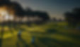 Golfer on Green with Trees and Sunlight