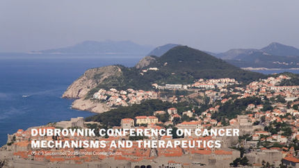 Highlight: DUBROVNIK CONFERENCE ON CANCERMECHANISMS AND THERAPEUTICS