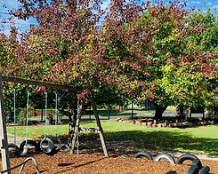 Rowen Street Kinder Swings_edited.jpg