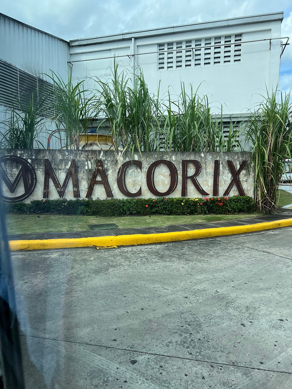 Sign with "MACORIX" in large letters, set against tall grass and a white building. The ground has a yellow curb. Cloudy sky overhead.