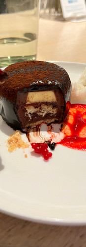 Small chocolate coconut cake. Chocolate ganache and cream on top of a cookie base, covered in a chocolate glaze and served with a size of coconut sponge cake. Also on the plate is a thin circle of raspberry sauce.