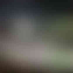 Texas Stars score by Emilio Petersen as the arena darkens the house lights and lights up the green LED lights while players on the ice transition to the next play as the game continues.