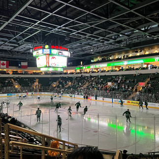 Texas Stars score by Emilio Petersen as the arena darkens the house lights and lights up the green LED lights while players on the ice transition to the next play as the game continues.