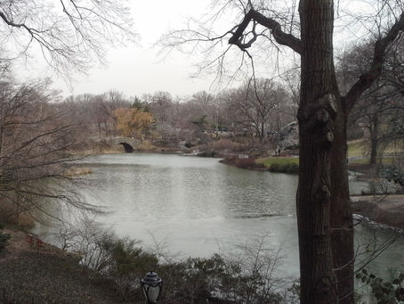 NYC Journey
