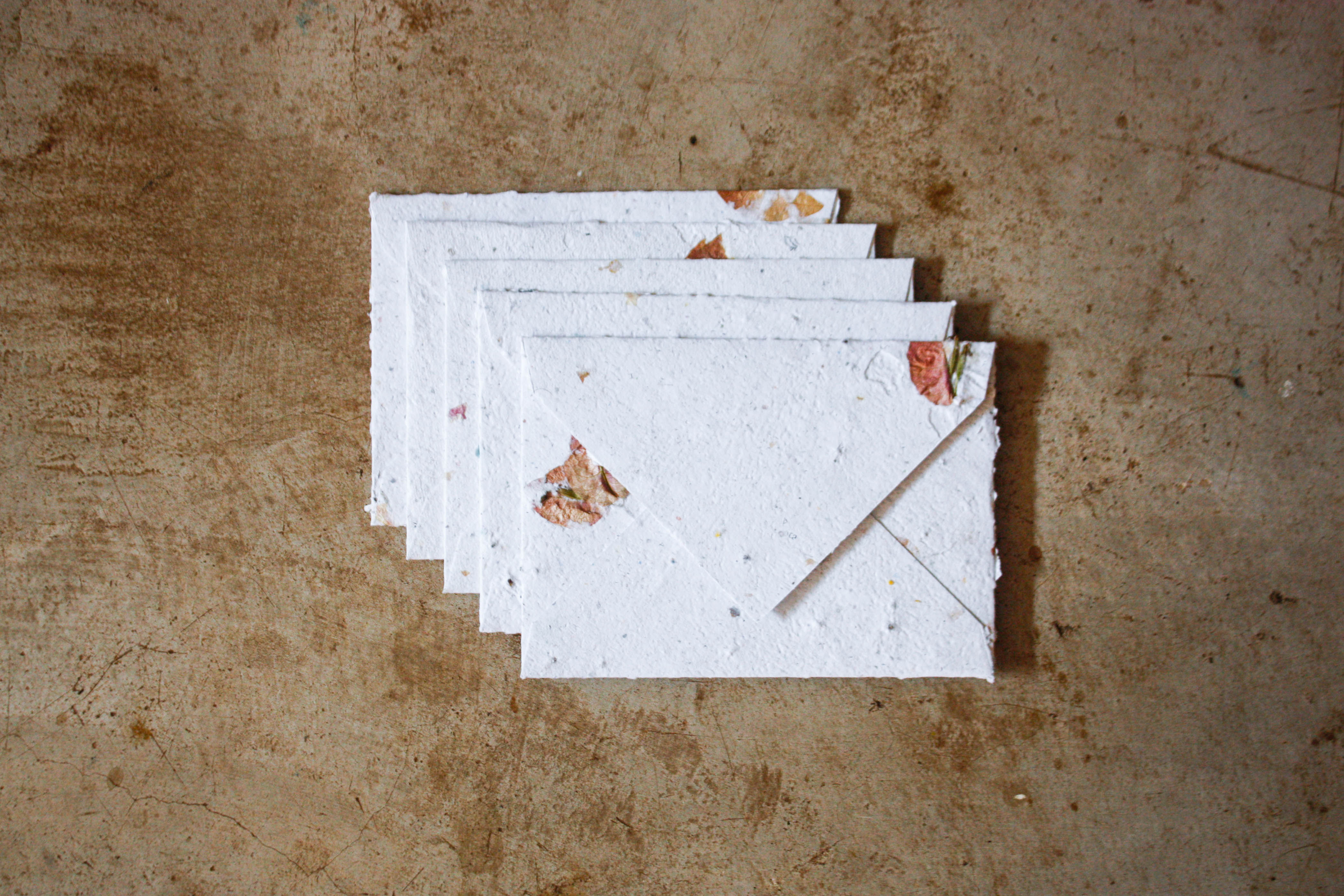 5 Envelopes A6  I  Papel off white + Flores secas