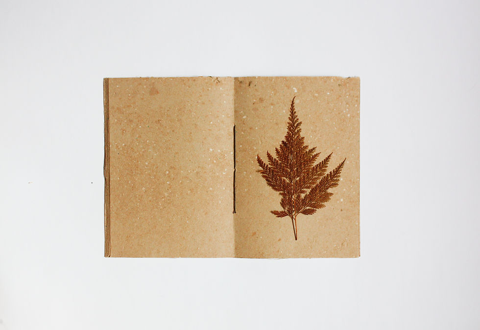 Miniatura: Caderno A5 / Capa kraft / Miolo Kraft