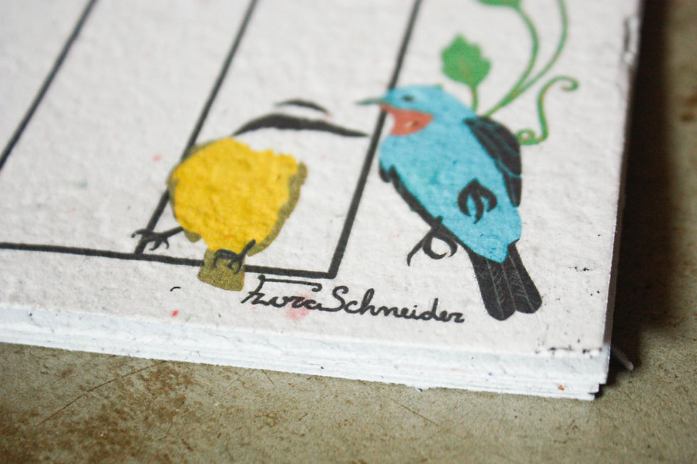 Miniatura: Kit Planner + Caderno / Passarinhos Brasileiros / por Flora Schneider