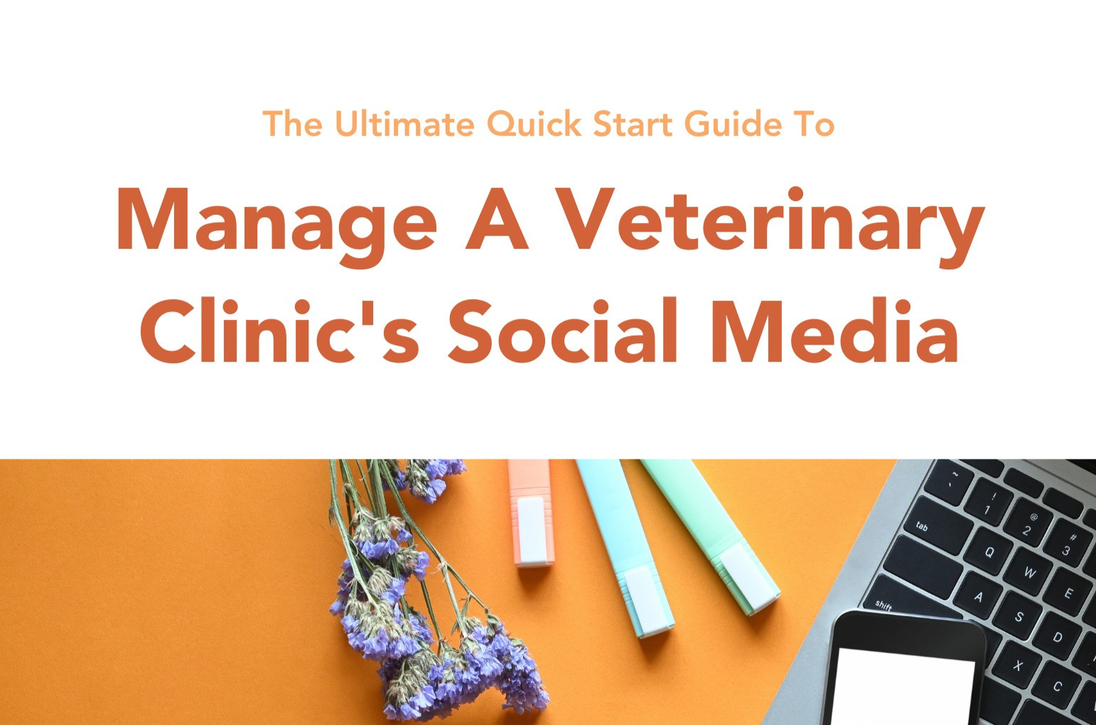 Introduction Blog Post Examples Veterinary Free Vet Post Ideas | Hey Cheyanne, LLC