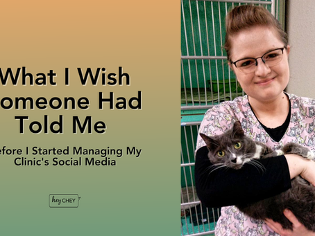 What I Wish Someone Had Told Me Before I Started Managing My Vet Clinic's Social Media