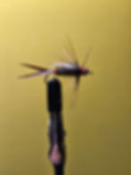 Phoenix Fly Tying - Prince Nymph