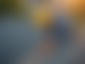 Breaking Down the Roof Replacement Cost Details