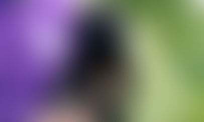 Ideal Fundraising Partners With Zen Fundraising