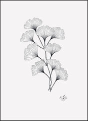 aeinkart_ginkgo.JPG