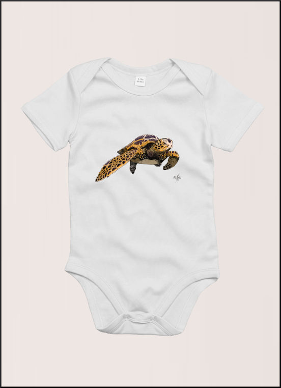 Sea turtle color, body neonato