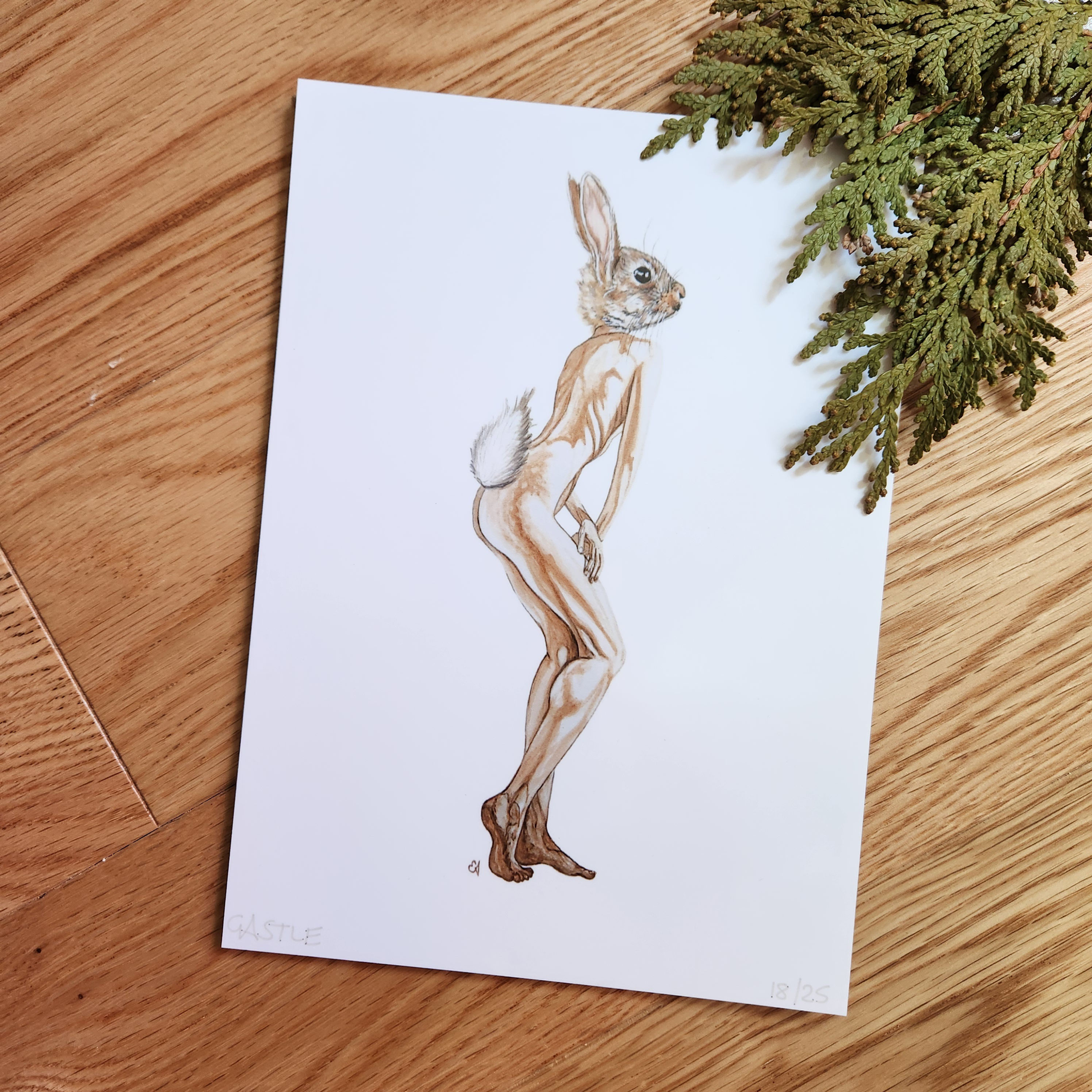 "The Rabbit Nymph" 5" x 7" PRINT