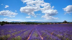 images-4