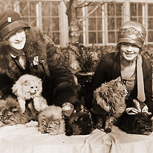 Cat-show-Washington-DC-1920s.jpg