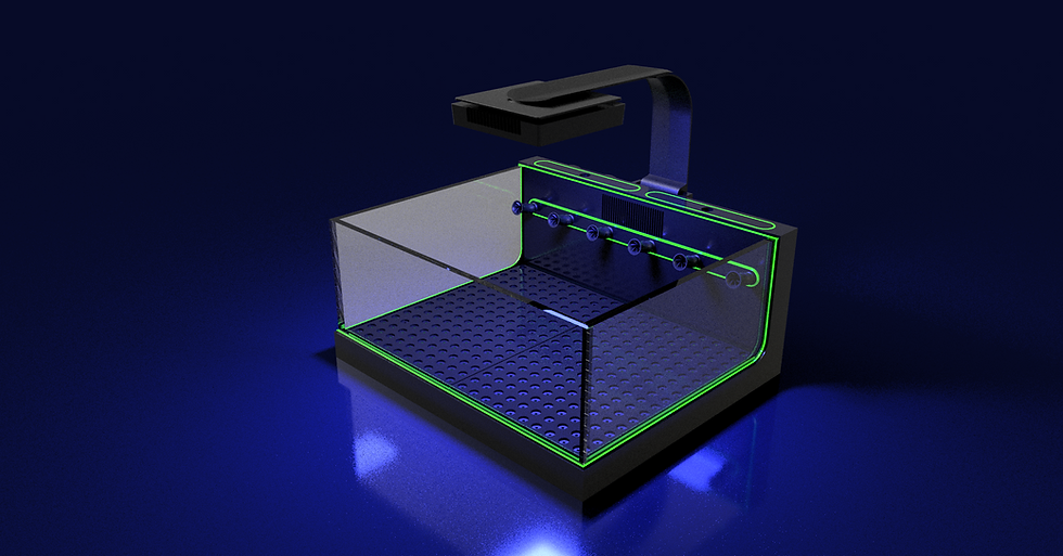 Miniature : The Polyp Pros Standard Connected Frag Tank