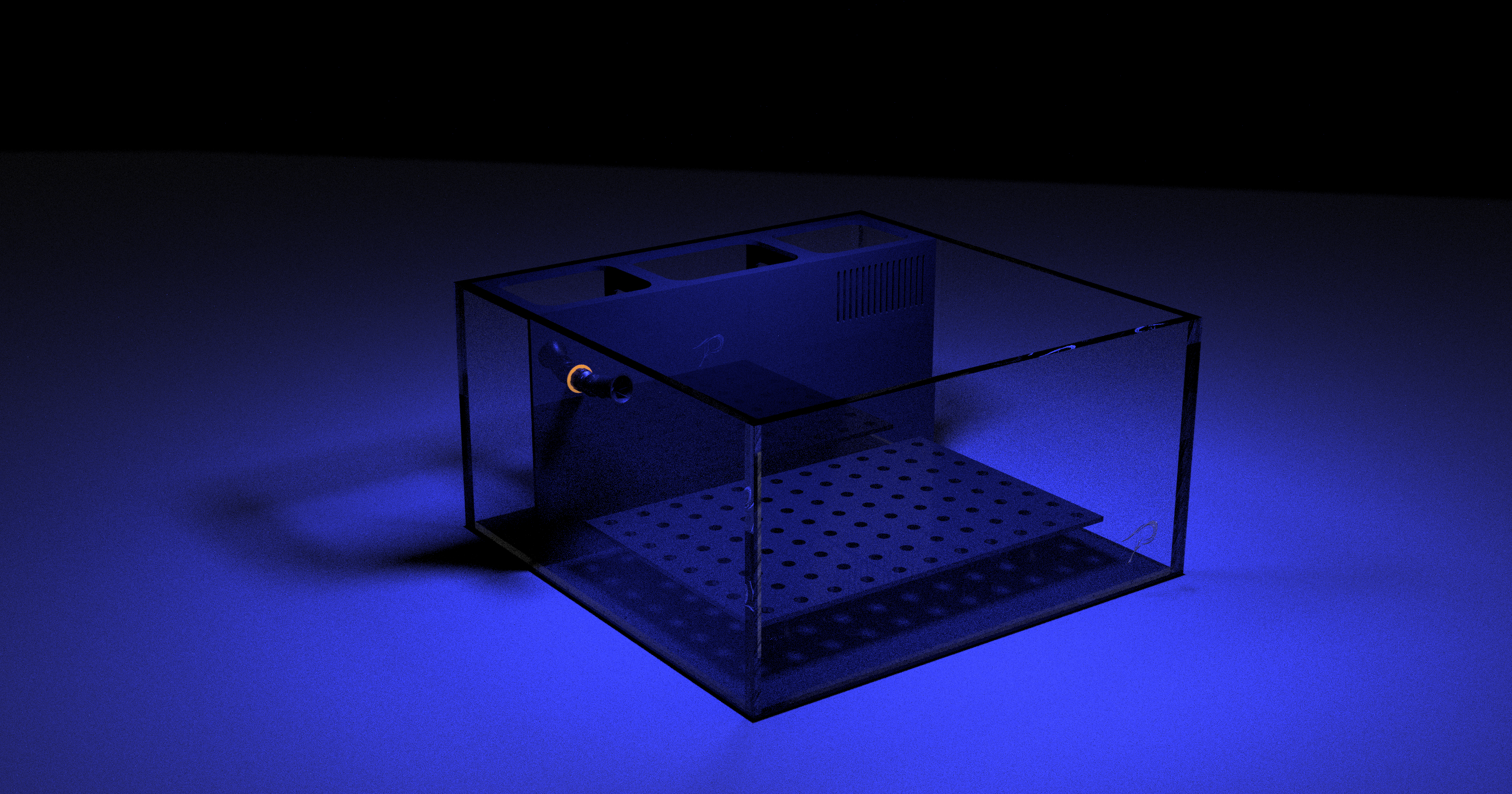 The Polyp Pros Frag Basic