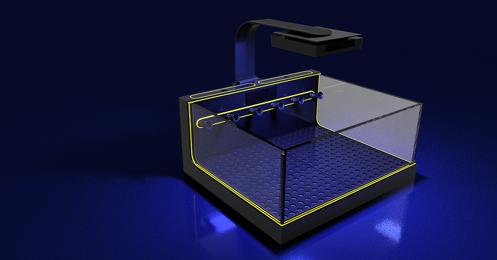 Miniaturbild: The Polyp Pros Standard Connected Frag Tank