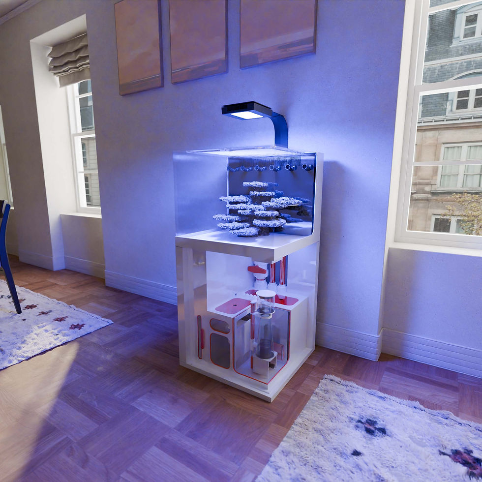 The Polyp Pros PolypTub Compact