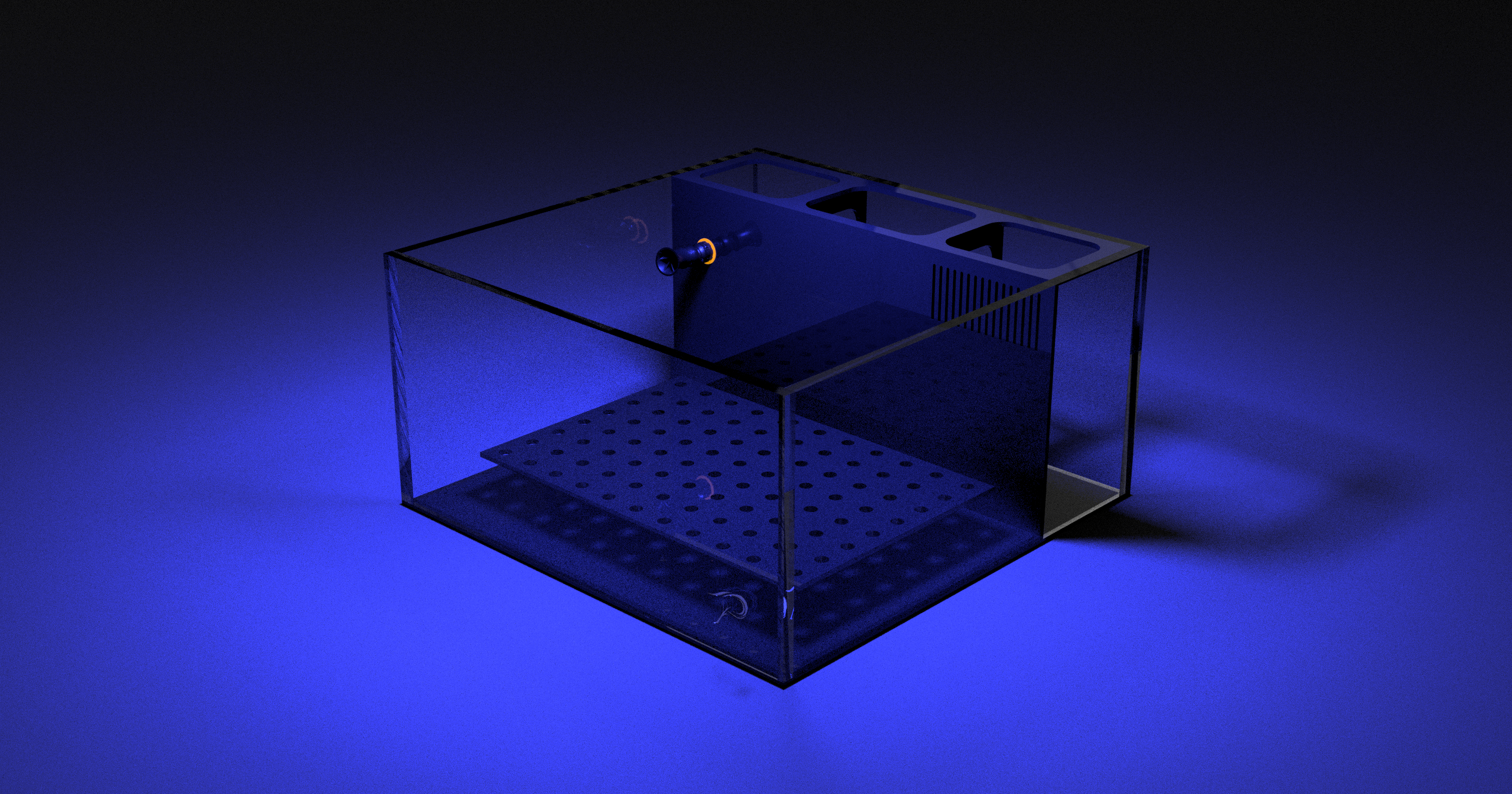 The Polyp Pros Frag Basic