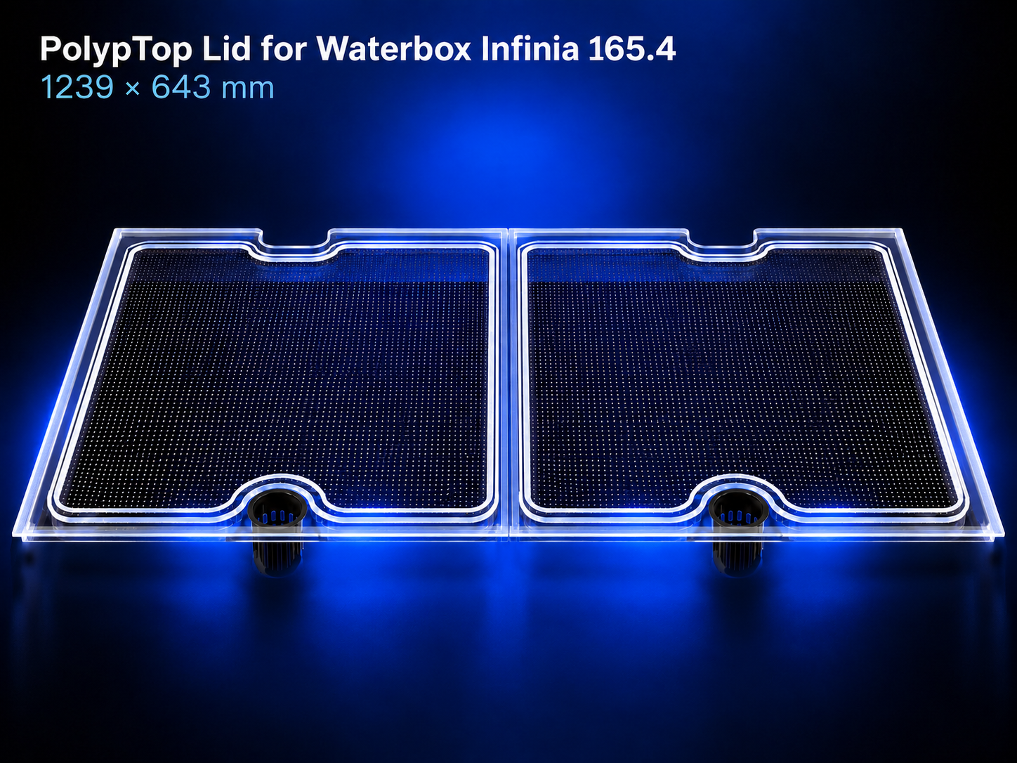 PolypTop Lid for Waterbox Infinia 165.4