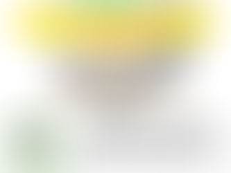 エントリー受付残り